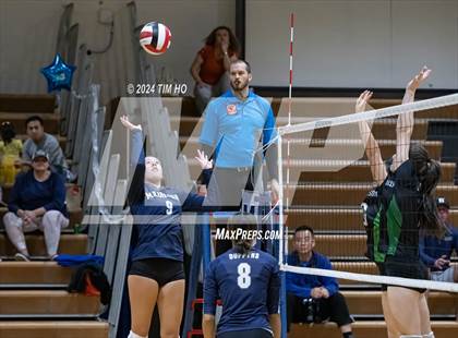Thumbnail 1 in Walter Johnson @ Magruder photogallery.