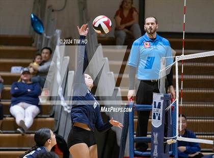 Thumbnail 3 in Walter Johnson @ Magruder photogallery.
