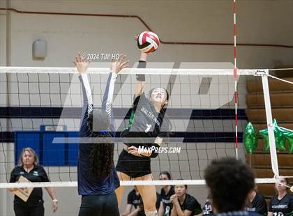 Thumbnail 1 in Walter Johnson @ Magruder photogallery.
