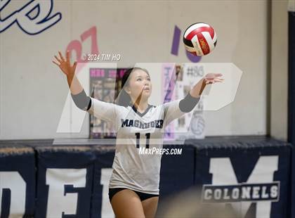 Thumbnail 1 in Walter Johnson @ Magruder photogallery.