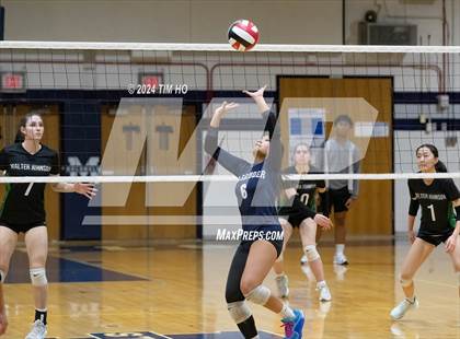 Thumbnail 3 in Walter Johnson @ Magruder photogallery.