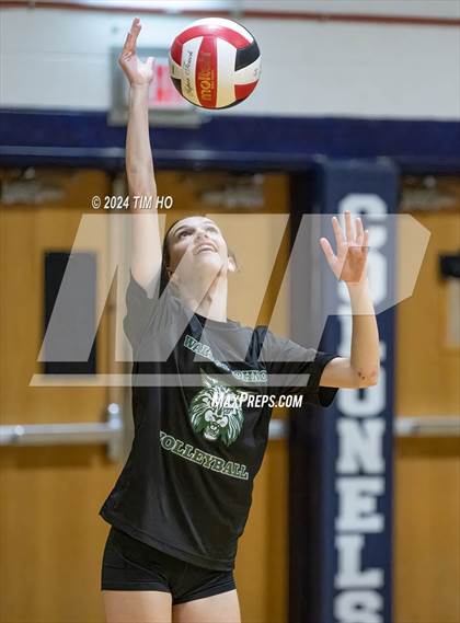 Thumbnail 2 in Walter Johnson @ Magruder photogallery.