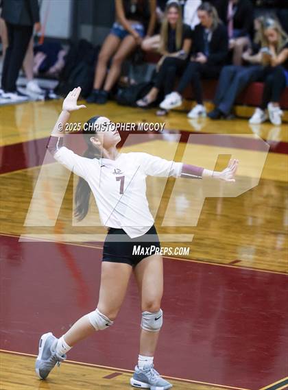 Thumbnail 3 in JV: Manatee @ Braden River photogallery.