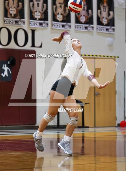 Thumbnail 2 in JV: Manatee @ Braden River photogallery.