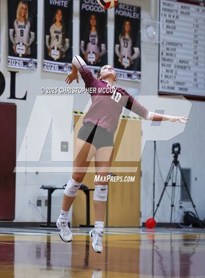 Thumbnail 1 in JV: Manatee @ Braden River photogallery.