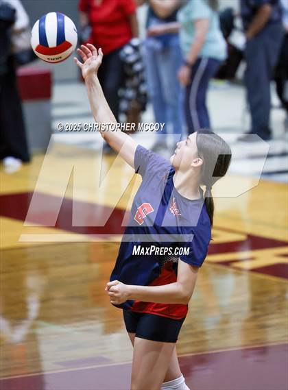 Thumbnail 3 in JV: Manatee @ Braden River photogallery.