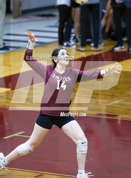 Thumbnail 2 in JV: Manatee @ Braden River photogallery.