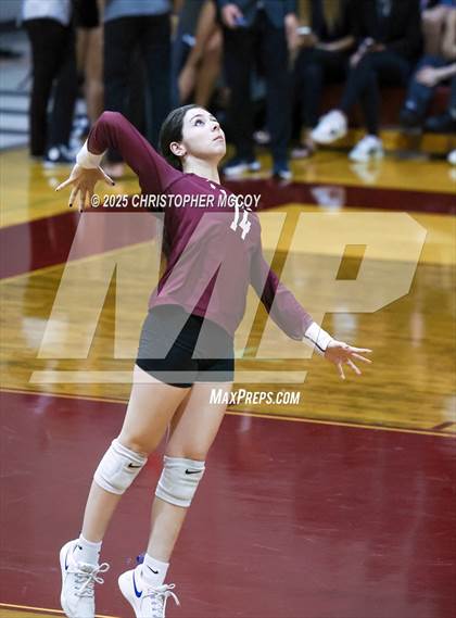 Thumbnail 3 in JV: Manatee @ Braden River photogallery.