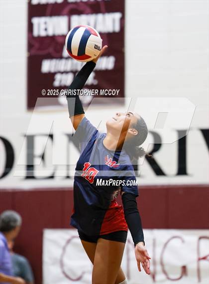 Thumbnail 3 in JV: Manatee @ Braden River photogallery.