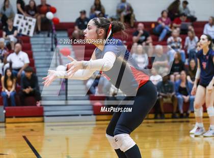 Thumbnail 2 in JV: Manatee @ Braden River photogallery.