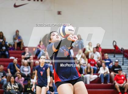 Thumbnail 3 in JV: Manatee @ Braden River photogallery.