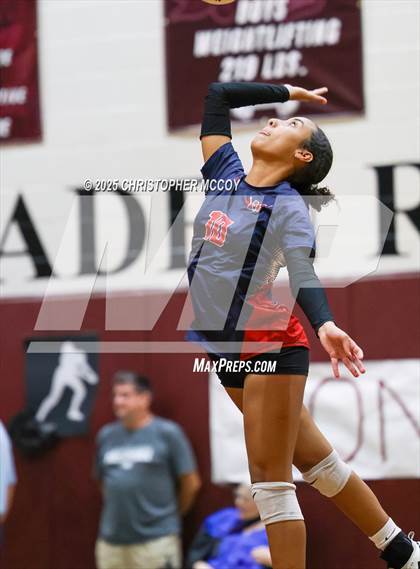 Thumbnail 2 in JV: Manatee @ Braden River photogallery.