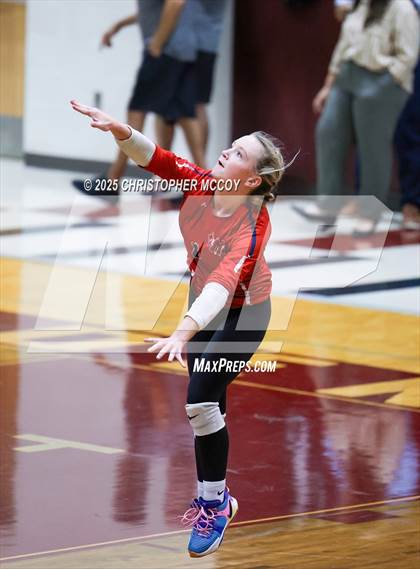 Thumbnail 2 in JV: Manatee @ Braden River photogallery.