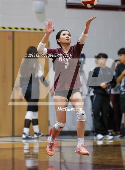 Thumbnail 1 in JV: Manatee @ Braden River photogallery.