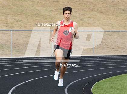 Thumbnail 2 in Puma Outdoor Opener photogallery.