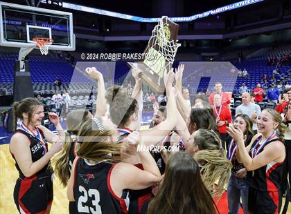 Thumbnail 1 in Huntington vs. Shallowater (UIL 3A Basketball Final Medal Ceremony) photogallery.