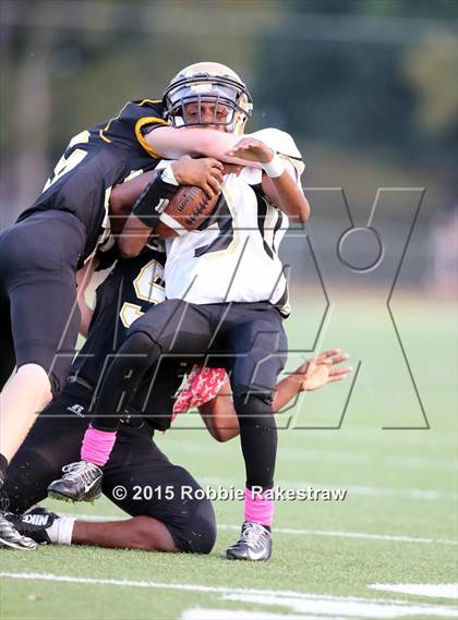 Thumbnail 3 in Kaufman @ Crandall photogallery.