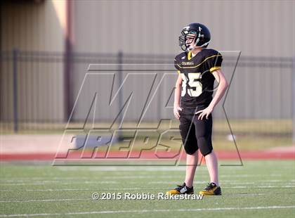Thumbnail 1 in Kaufman @ Crandall photogallery.