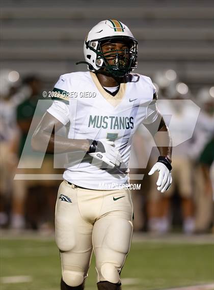 Thumbnail 2 in Ola @ Warner Robins photogallery.
