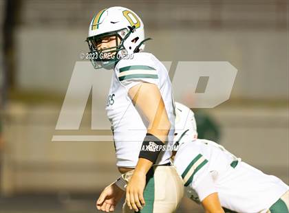 Thumbnail 1 in Ola @ Warner Robins photogallery.