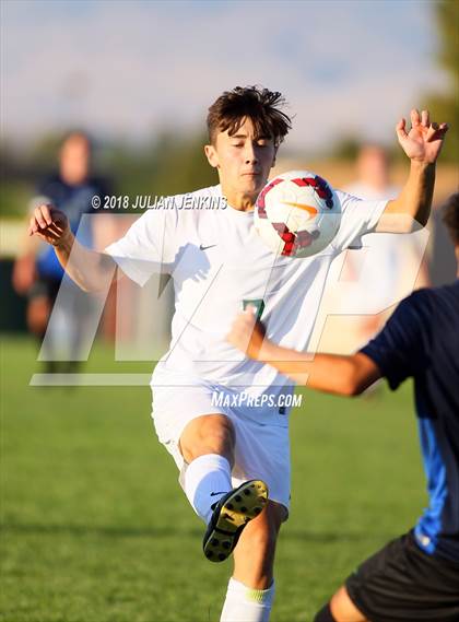 Thumbnail 2 in Eagle @ Mountain View photogallery.
