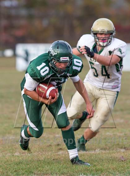 Thumbnail 3 in Longwood @ William Floyd photogallery.