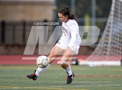 Thumbnail 1 in Webster Schroeder vs. Hilton (Section 5 Class AA Semifinal) photogallery.
