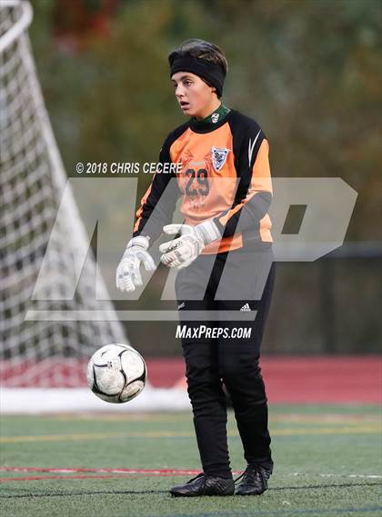 Thumbnail 1 in Webster Schroeder vs. Hilton (Section 5 Class AA Semifinal) photogallery.