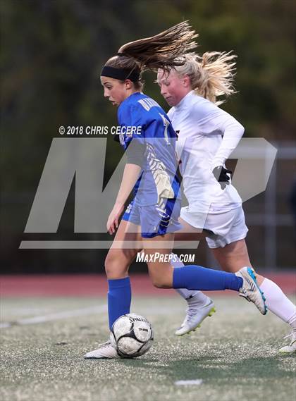 Thumbnail 1 in Webster Schroeder vs. Hilton (Section 5 Class AA Semifinal) photogallery.