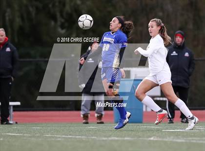 Thumbnail 1 in Webster Schroeder vs. Hilton (Section 5 Class AA Semifinal) photogallery.
