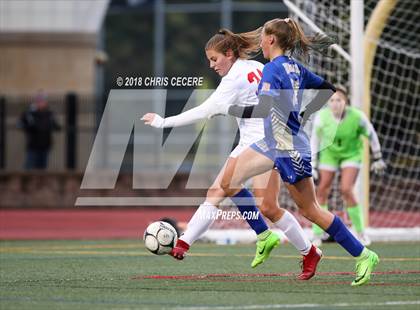 Thumbnail 1 in Webster Schroeder vs. Hilton (Section 5 Class AA Semifinal) photogallery.