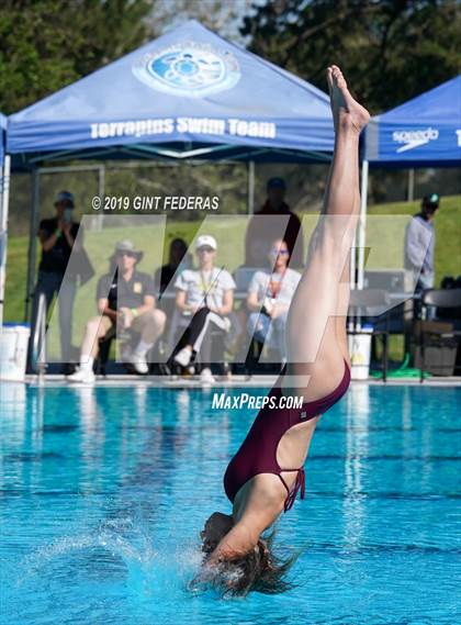 Thumbnail 3 in Diving CIF NCS Finals (Alameda Comm, Clayton Valley, Dougherty Valley, Granada, Novato, Redwood, Tamalpais) photogallery.