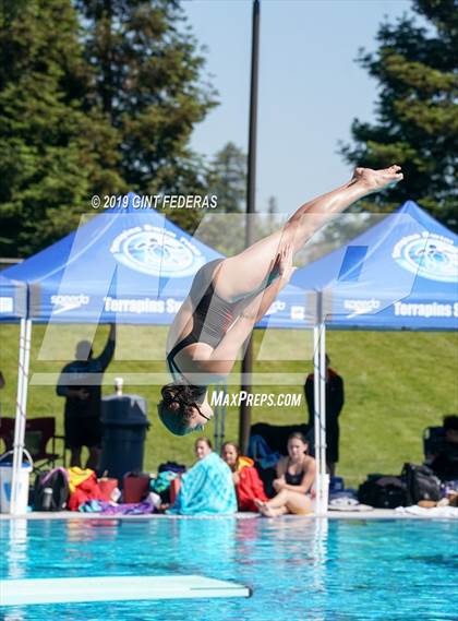 Thumbnail 2 in Diving CIF NCS Finals (Alameda Comm, Clayton Valley, Dougherty Valley, Granada, Novato, Redwood, Tamalpais) photogallery.
