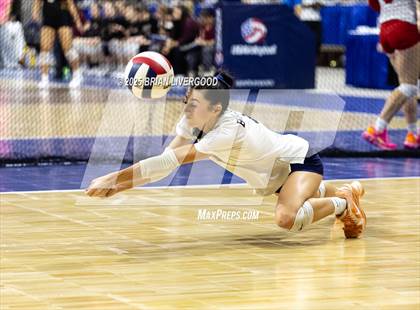 Thumbnail 1 in Windsor vs. University (CHSAA 4A Final) photogallery.