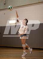 Photo from the gallery "Patriot @ Colonial Forge"