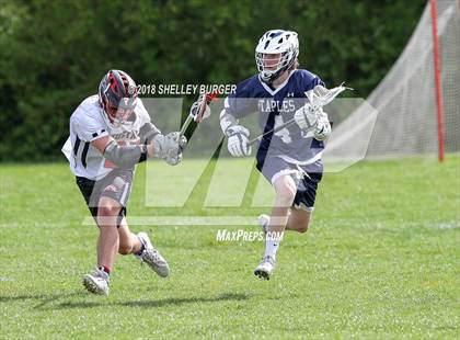 Thumbnail 1 in Staples vs. Warde  photogallery.