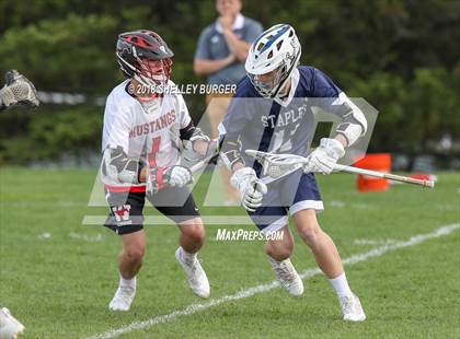 Thumbnail 1 in Staples vs. Warde  photogallery.