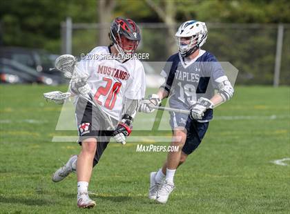 Thumbnail 3 in Staples vs. Warde  photogallery.