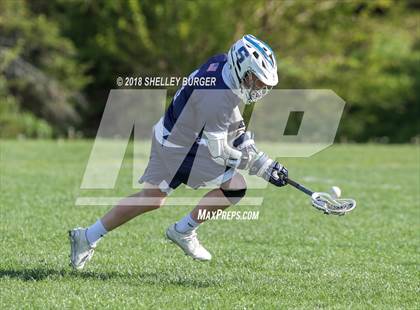 Thumbnail 1 in Staples vs. Warde  photogallery.