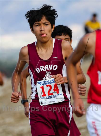 Thumbnail 1 in FR: CIF LA City Section Cross Country Championships (Boys) photogallery.