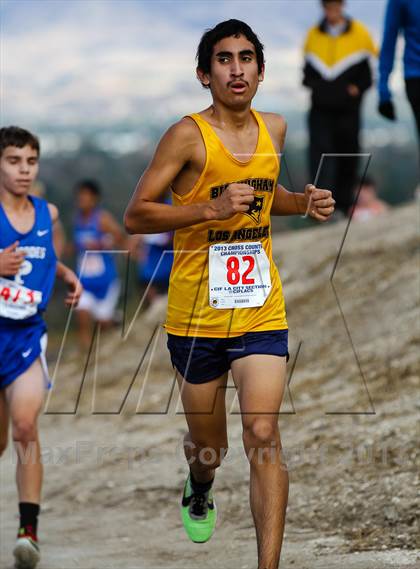 Thumbnail 2 in FR: CIF LA City Section Cross Country Championships (Boys) photogallery.