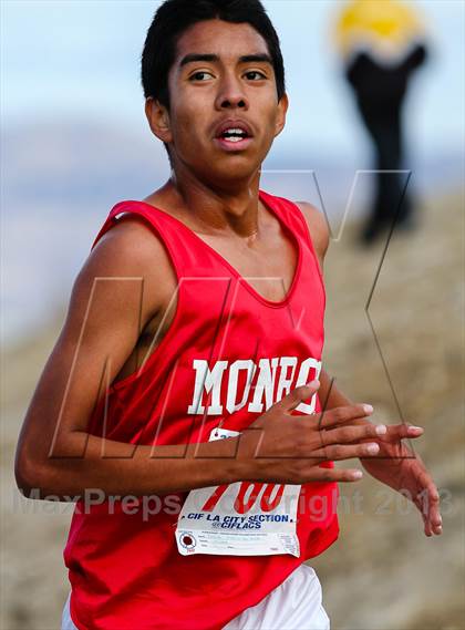 Thumbnail 2 in FR: CIF LA City Section Cross Country Championships (Boys) photogallery.