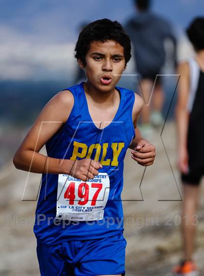 Thumbnail 1 in FR: CIF LA City Section Cross Country Championships (Boys) photogallery.