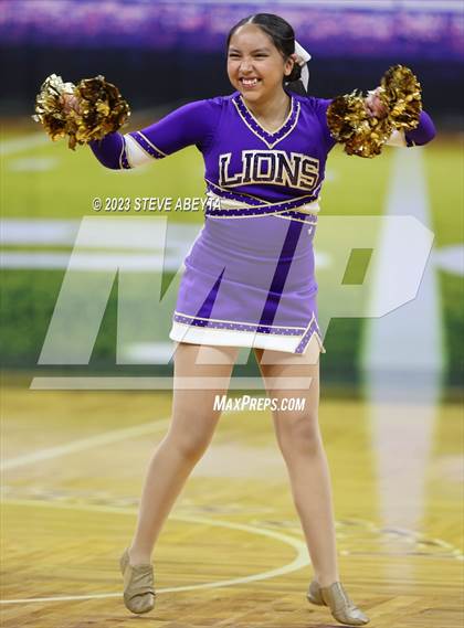 Thumbnail 1 in Littleton CHSAA Spirit Poms photogallery.