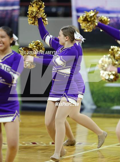 Thumbnail 2 in Littleton CHSAA Spirit Poms photogallery.