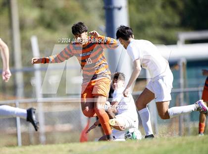 Thumbnail 2 in Fleming Island @ Mandarin photogallery.