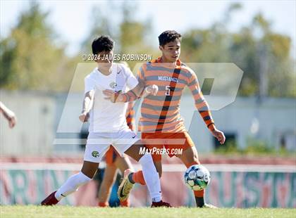 Thumbnail 2 in Fleming Island @ Mandarin photogallery.