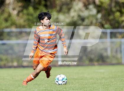 Thumbnail 3 in Fleming Island @ Mandarin photogallery.