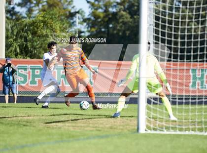 Thumbnail 2 in Fleming Island @ Mandarin photogallery.
