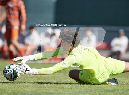 Thumbnail 2 in Fleming Island @ Mandarin photogallery.